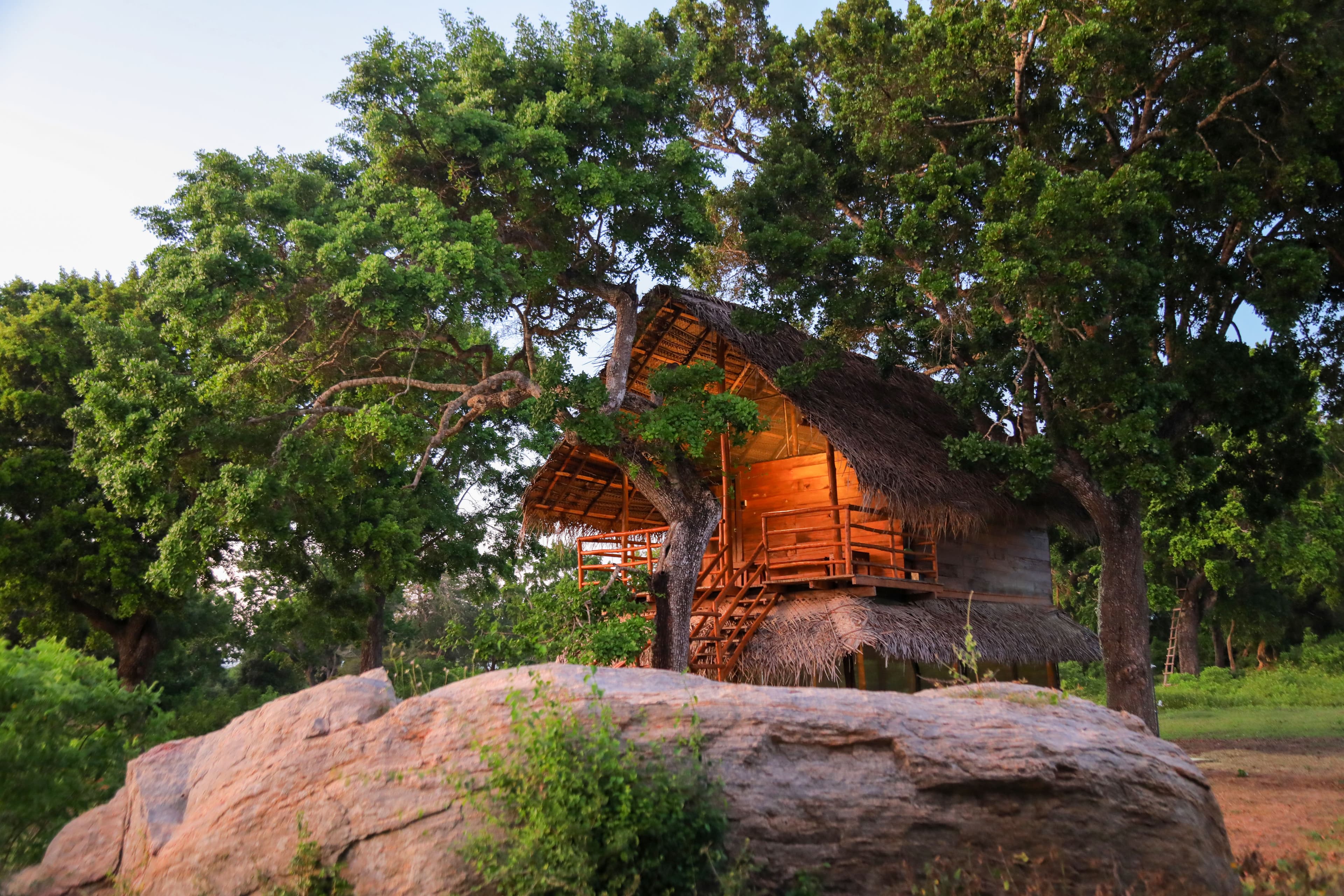 Scenic View of Yala National Park Entrance