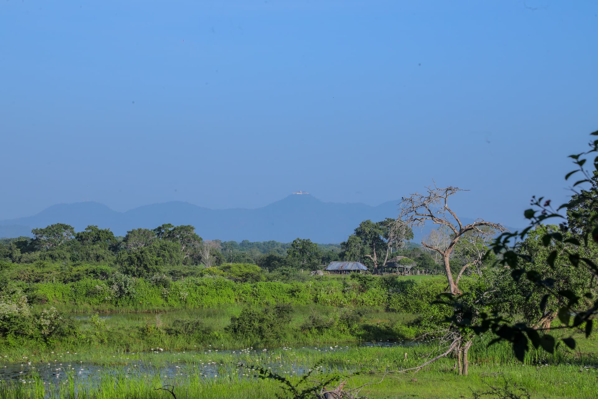 Panoramic view of the Yala landscape — rolling green fields, a serene pond, distant hills and a peaceful rural setting.