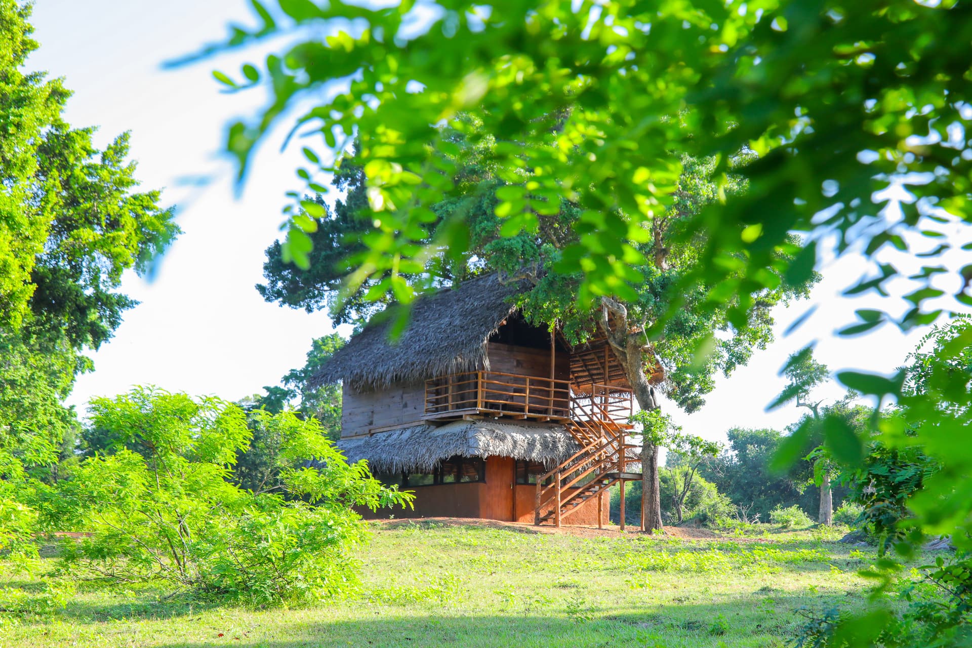 The Nature Win Yala two-storey safari lodge, beautifully framed by lush green tropical foliage and bright sunshine.
