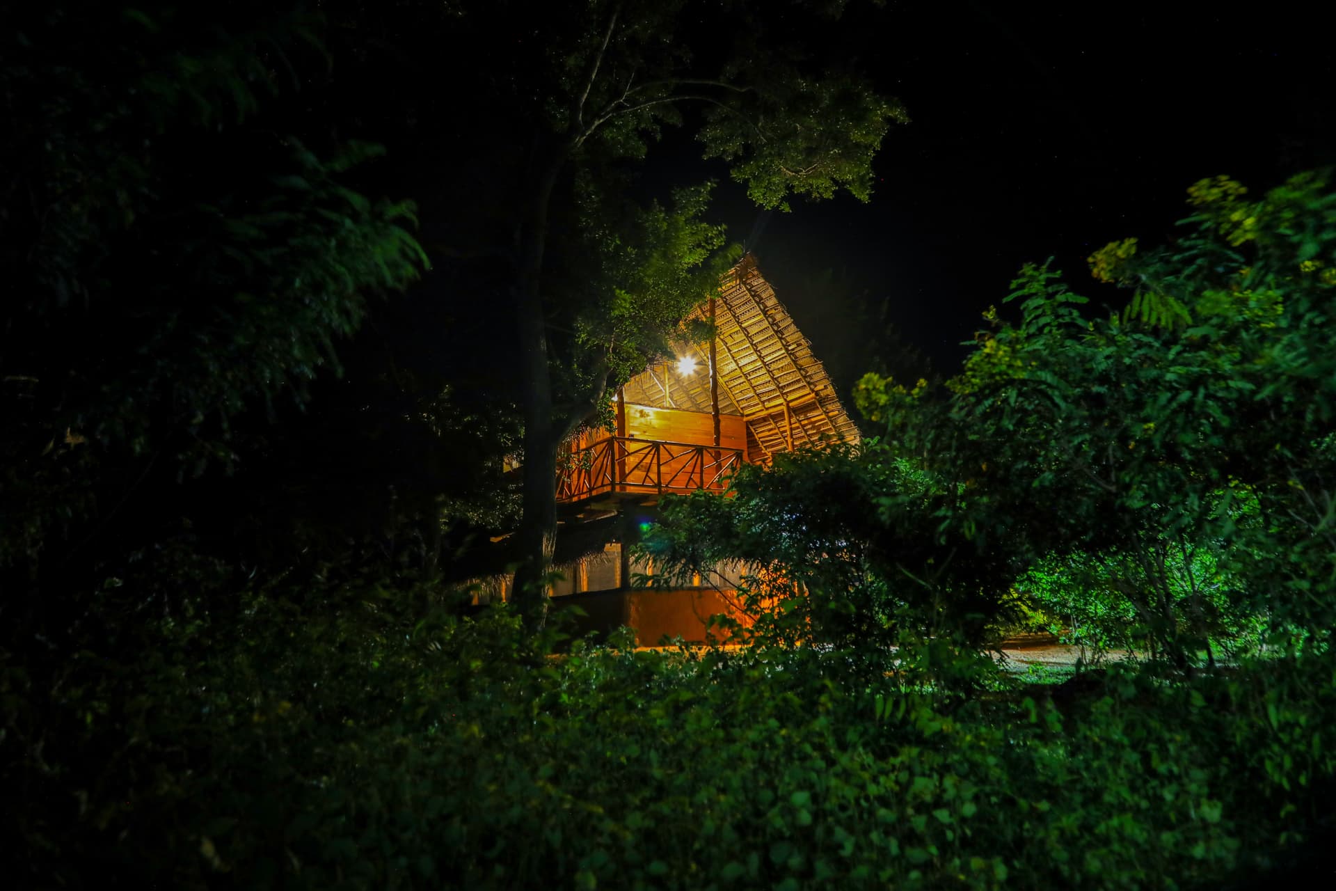 The Nature Win Yala exterior glows softly at night, creating an inviting and atmospheric setting beneath the stars.