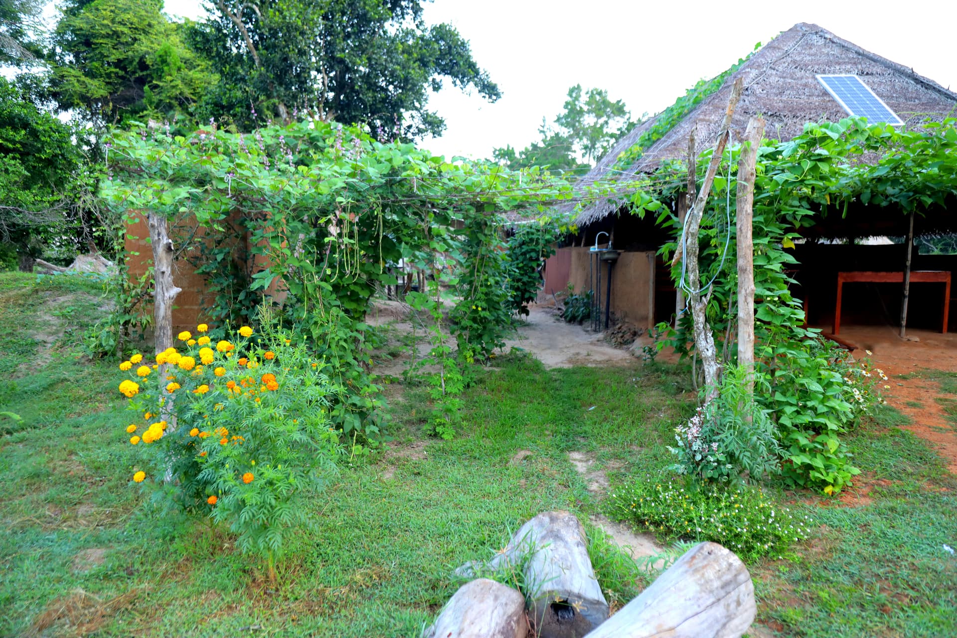 The villa's organic garden flourishes with trellised vegetables and marigold flowers, with the thatched cabana visible beyond.