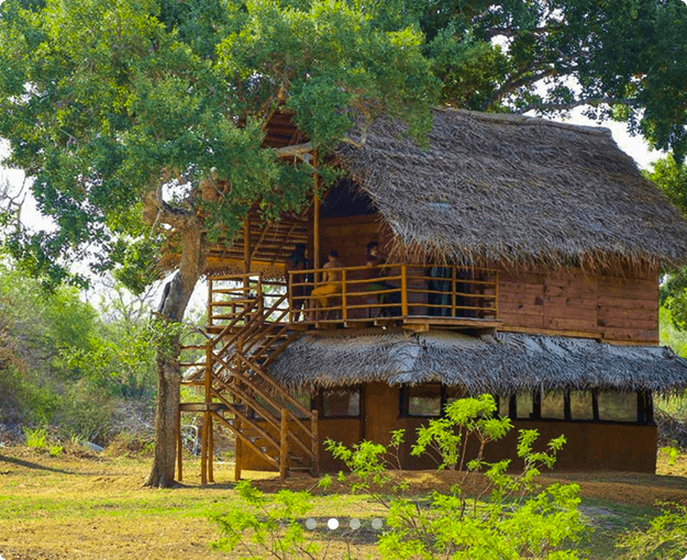 Nature Win Yala Luxury Safari Villa in Yala National Park