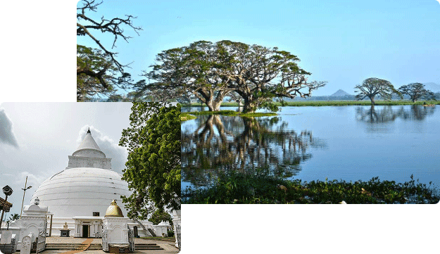 Tissamaharama Temple